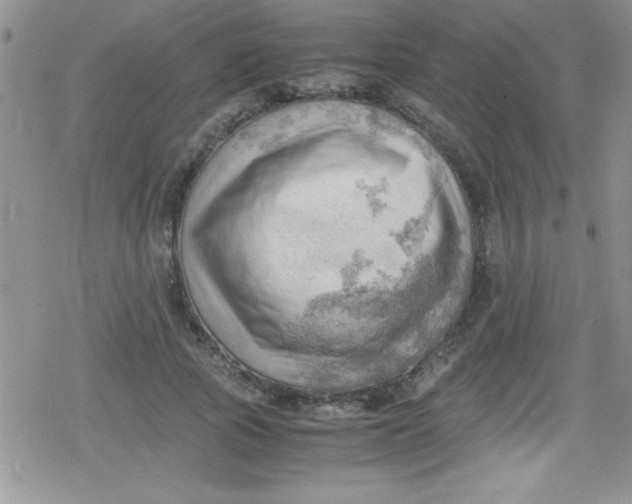 X0000079340737200612082024