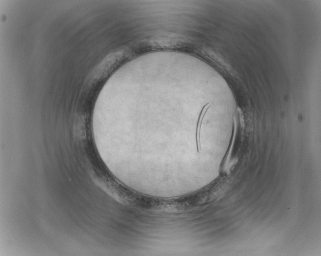 X0000079340738200612082024