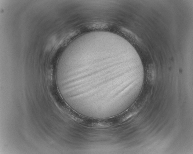 X0000079340739200612082024