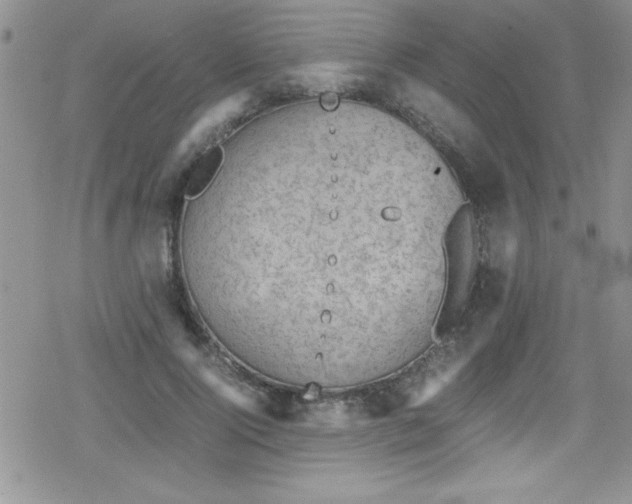 X0000079340740200612082024