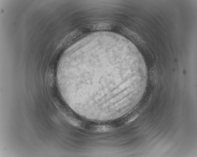 X0000079340741200612082024