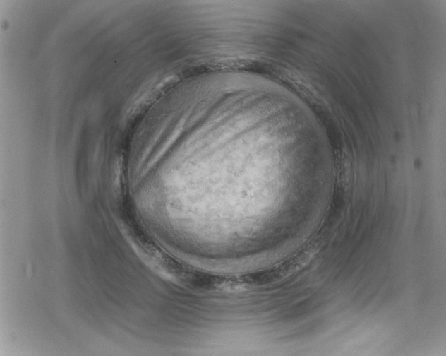 X0000079340742200612082024