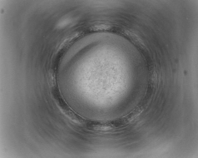 X0000079340743200612082024