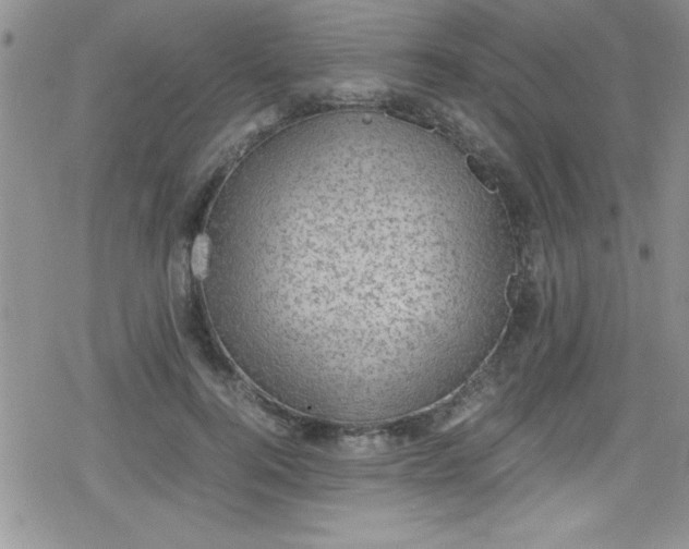 X0000079340744200612082024