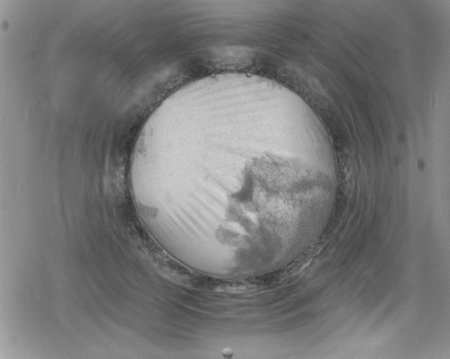 X0000079340745200612082024