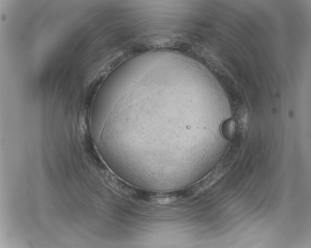 X0000079340746200612082024