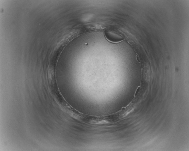 X0000079340747200612082024