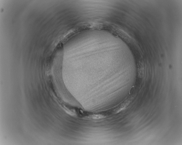 X0000079340748200612082024