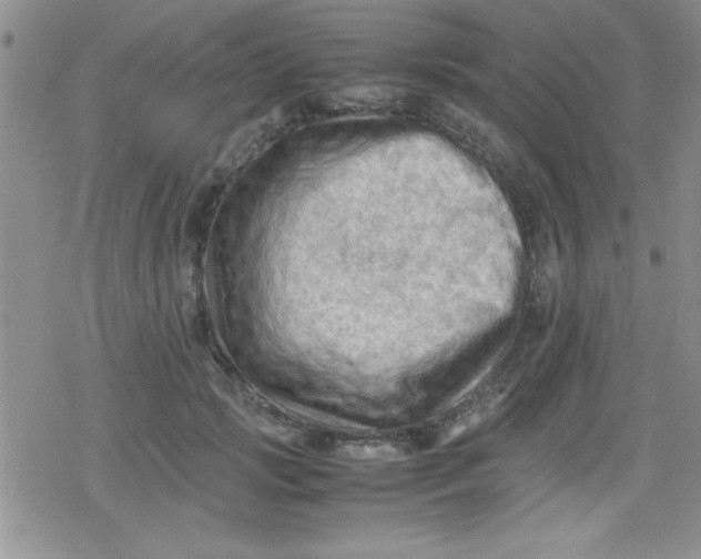 X0000079340749200612082024