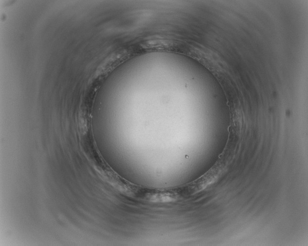 X0000079340751200612082024