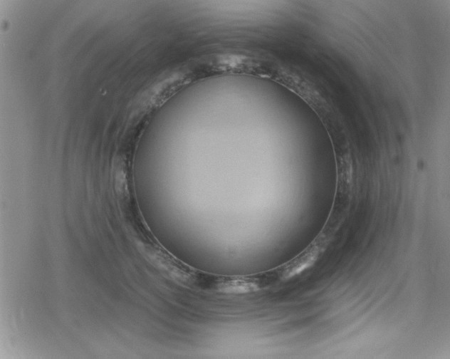 X0000079340754200612082024