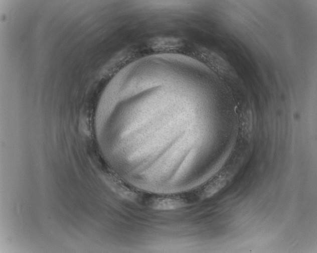 X0000079340755200612082024