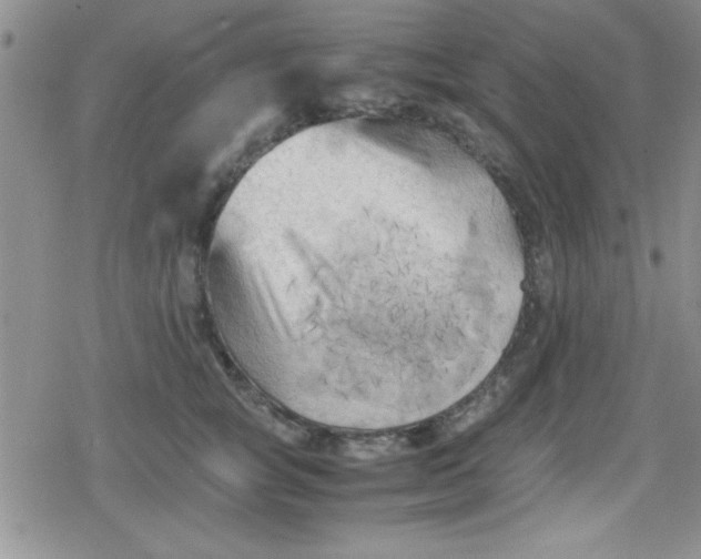 X0000079340757200612082024