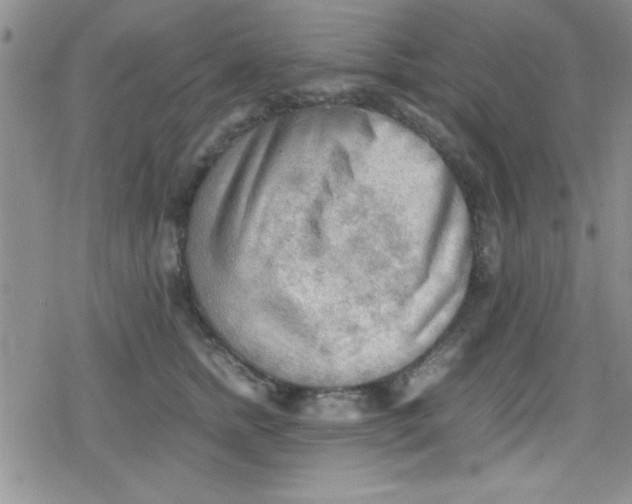 X0000079340758200612082024