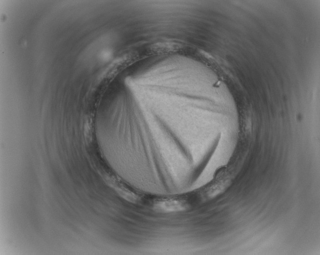 X0000079340759200612082024