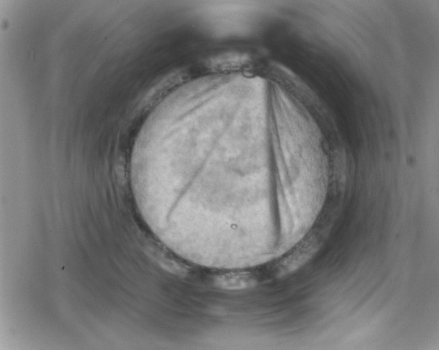 X0000079340761200612082024