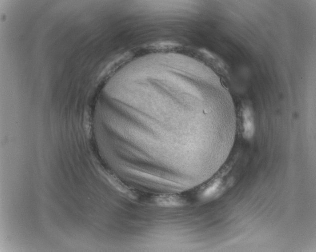 X0000079340762200612082024