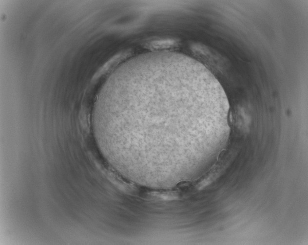 X0000079340763200612082024