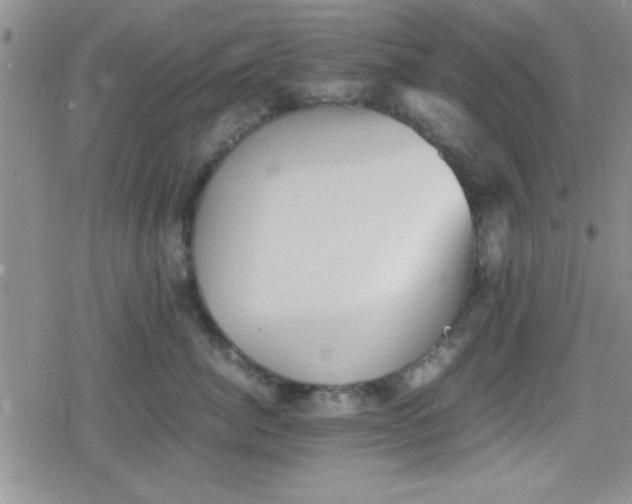 X0000079340764200612082024