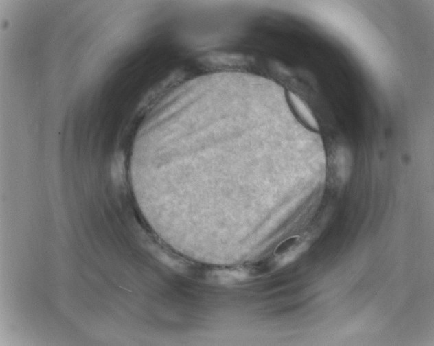 X0000079340765200612082024