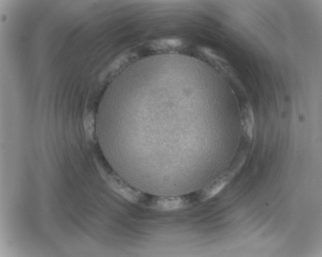 X0000079340767200612082024