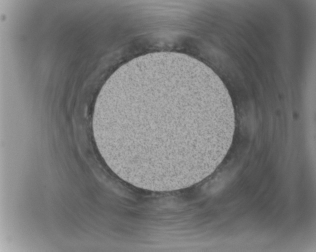 X0000079340769200612082023