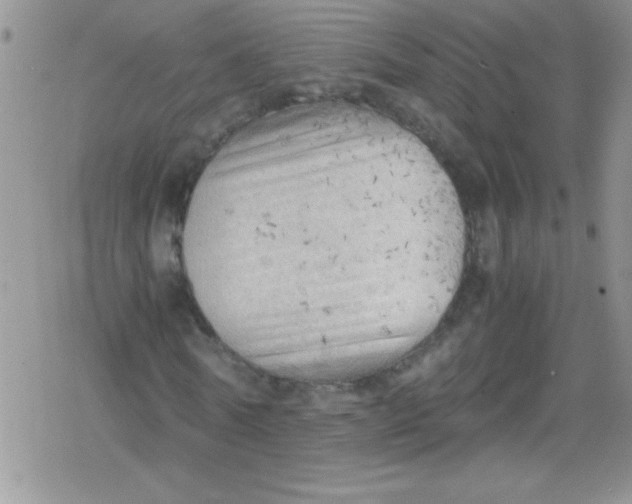 X0000079340770200612082023