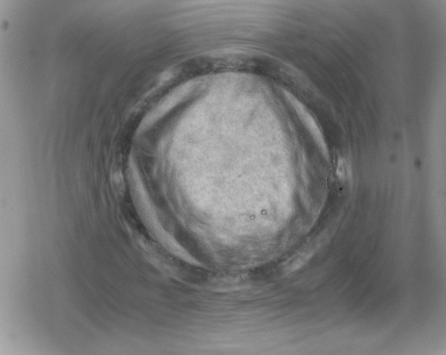 X0000079340771200612082023