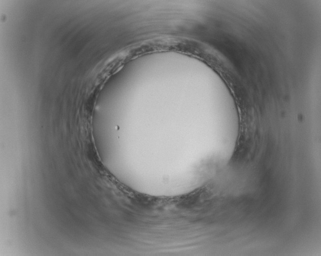 X0000079340773200612082023