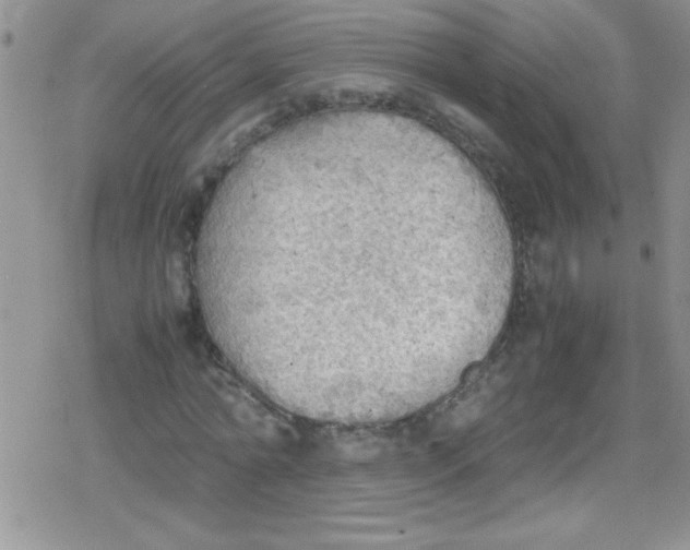 X0000079340774200612082023