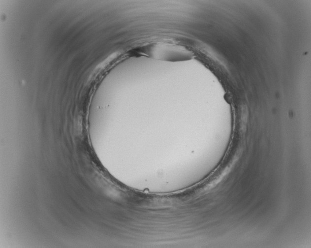 X0000079340777200612082023