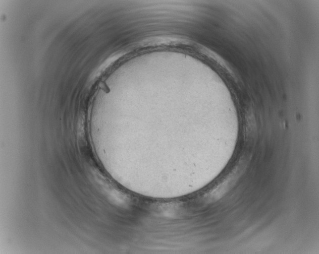 X0000079340778200612082023