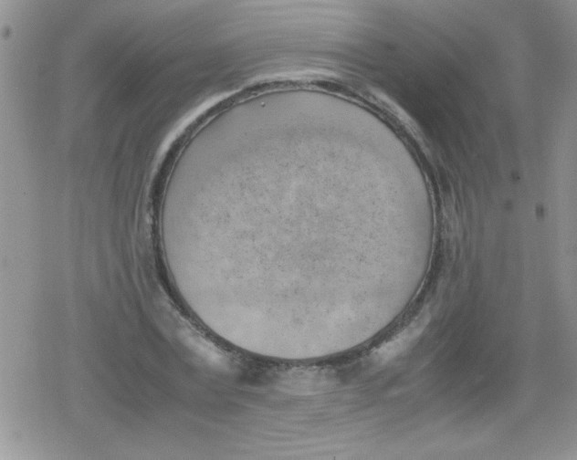 X0000079340779200612082023