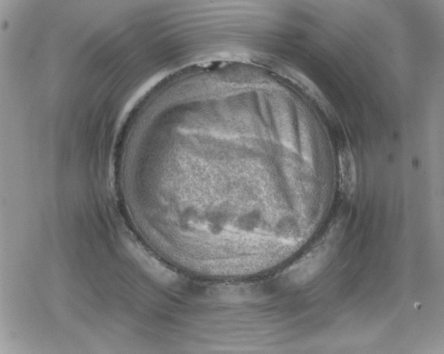 X0000079340780200612082023