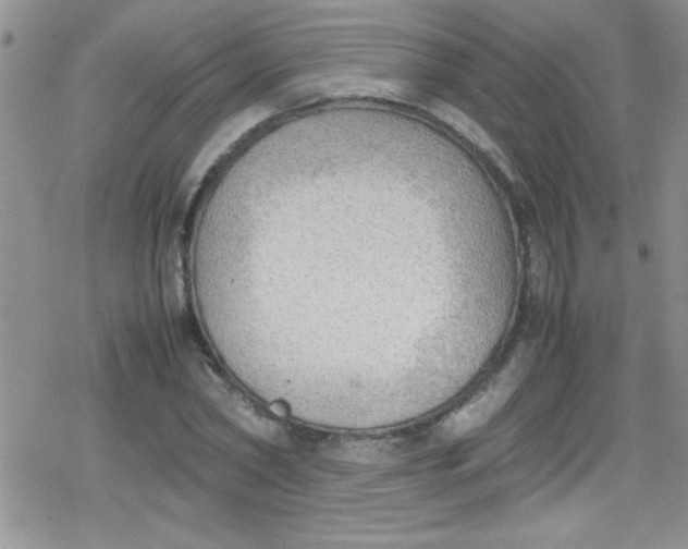 X0000079340782200612082023