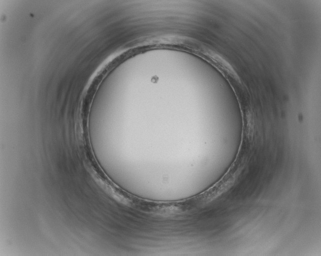 X0000079340784200612082023