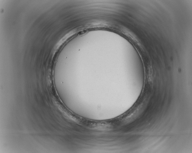 X0000079340786200612082023