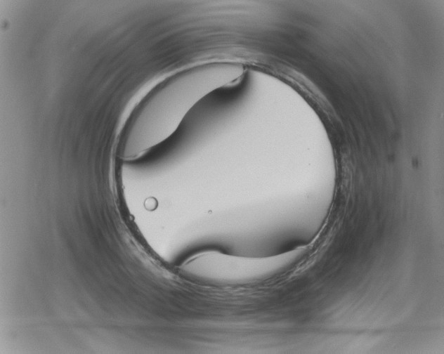 X0000079340788200612082023