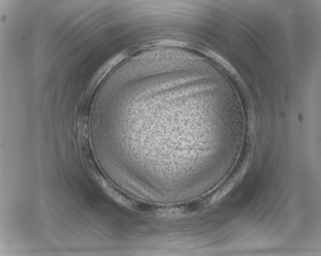 X0000079340793200612082023