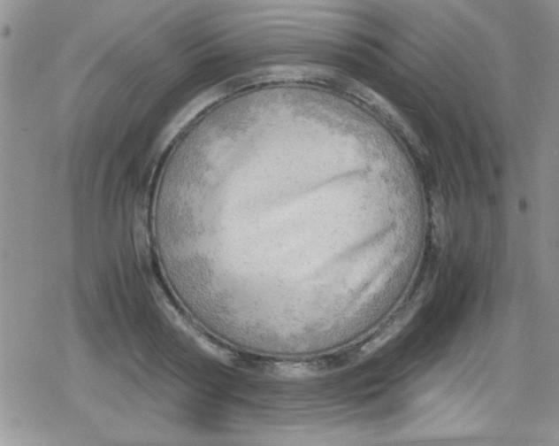 X0000079340794200612082023