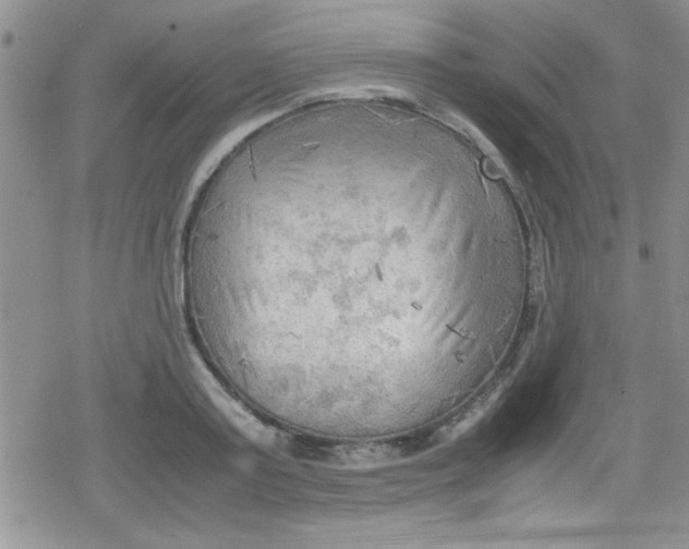 X0000079340795200612082023