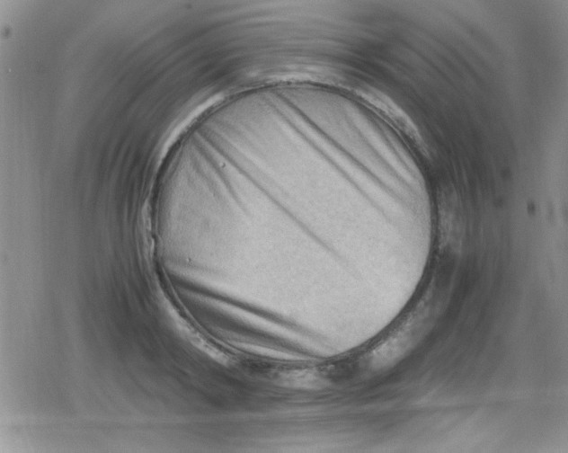 X0000079340798200612082023