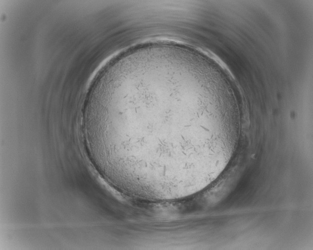 X0000079340799200612082023