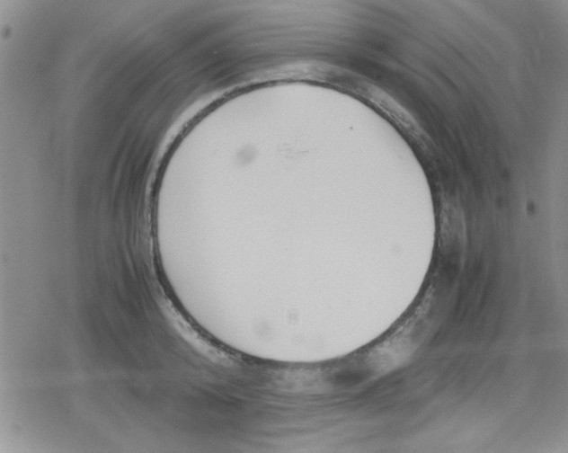 X0000079340800200612082023