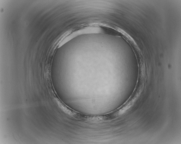 X0000079340801200612082023