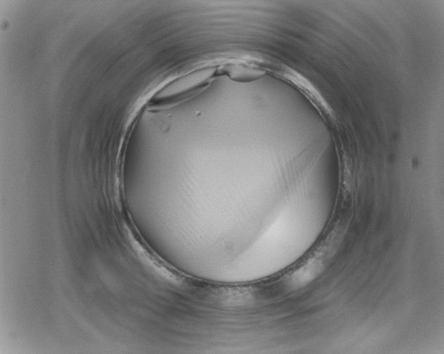 X0000079340802200612082023