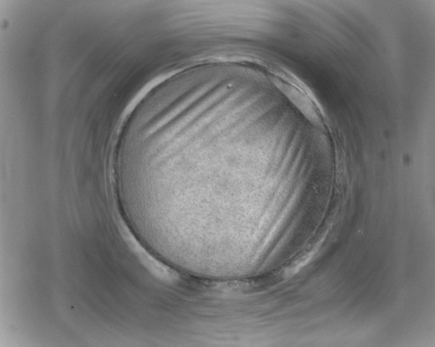 X0000079340803200612082023