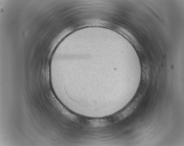 X0000079340804200612082023