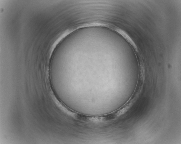 X0000079340805200612082023