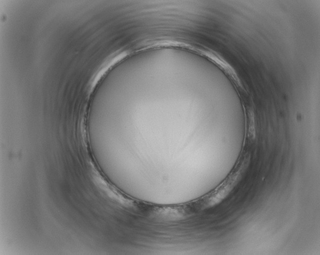 X0000079340806200612082023